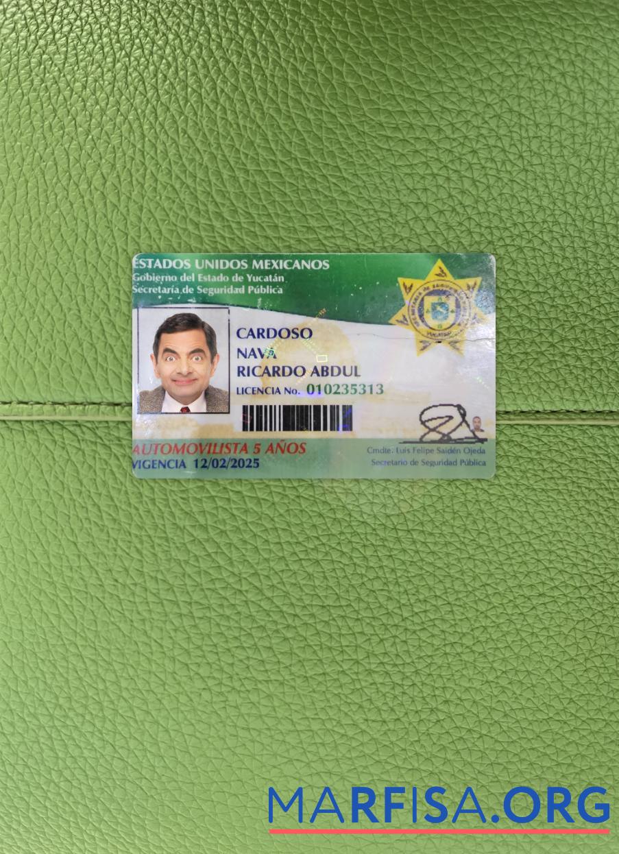 Blank Mexico Yucatan state driving license photolook template